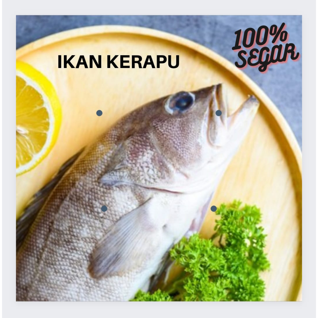 

Ikan Kerapu Segar 500gr