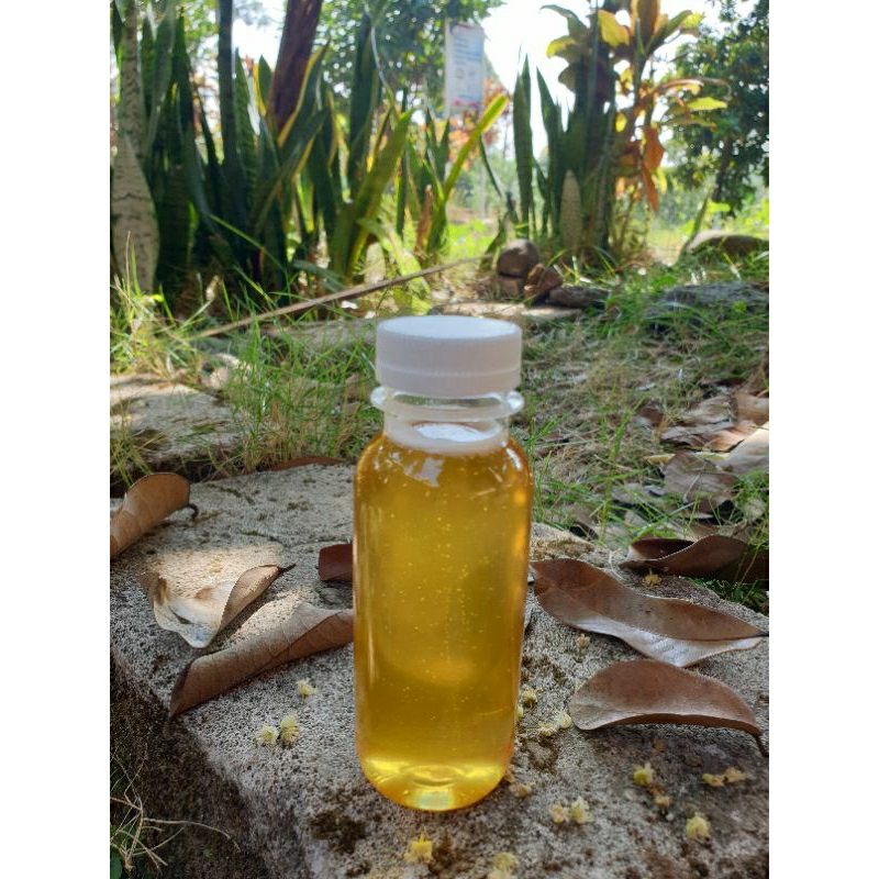 

MADU MURNI 100ML ASLI ORIGINAL LANGSUNG DARI PETANI MADU