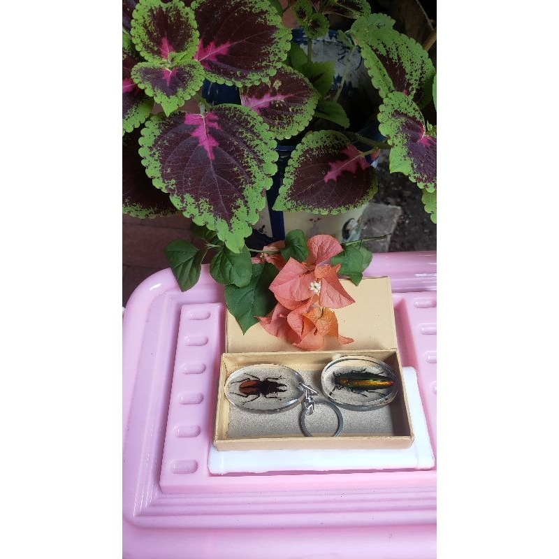 paket gantungan kunci kumbang capit dan magnet kulkas samber lilin