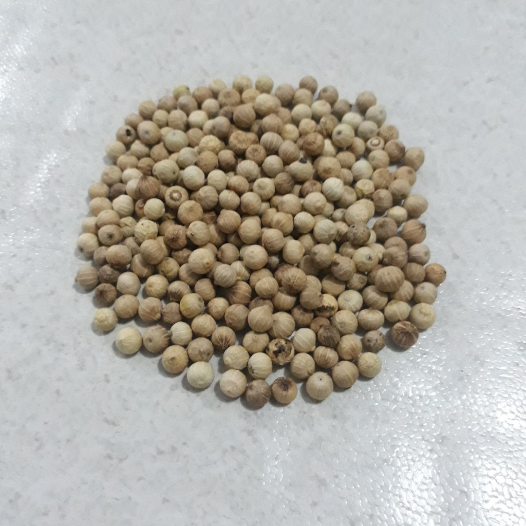 

merica putih bulat 100gram