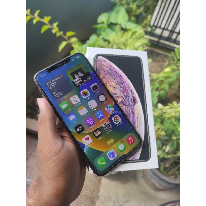 iPhone Xs Max 256