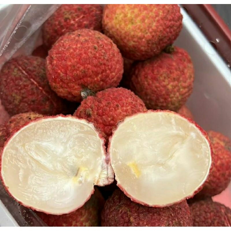 

Lychee Leci merah Tanpa biji super manis | Buah Lychee seedless 1 kg