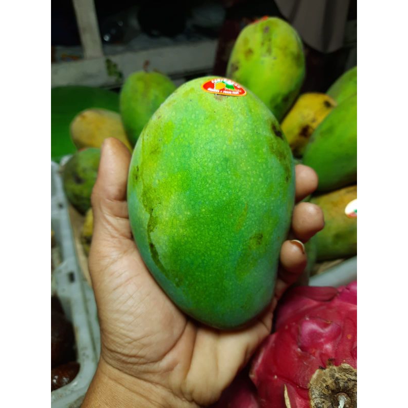 

buah mangga harum manis /kg