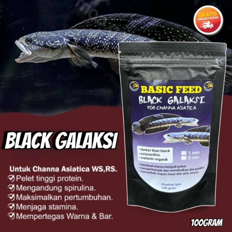 COD pelet ikan asiatica ws | makanan ikan basic feed black galaxy for channa asiatica ws