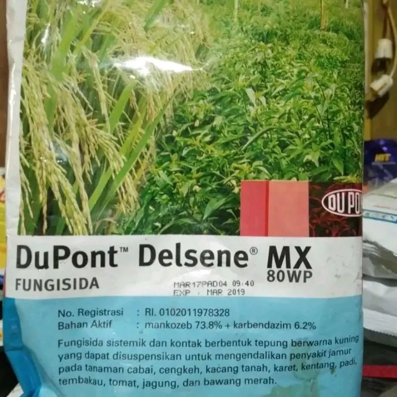 obat pertanian fungisida DUPONT DELSENE 100g