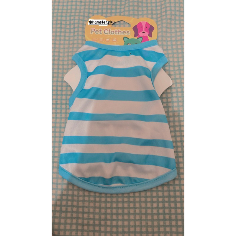 baju kucing betina dan jantan