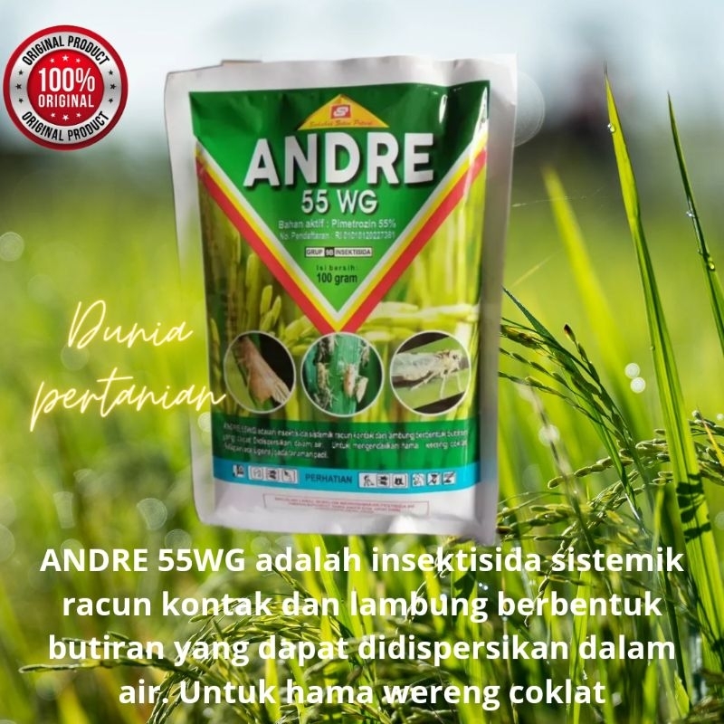 Insektisida Andre 55 WG bahan aktif pymetrozin 55 %
