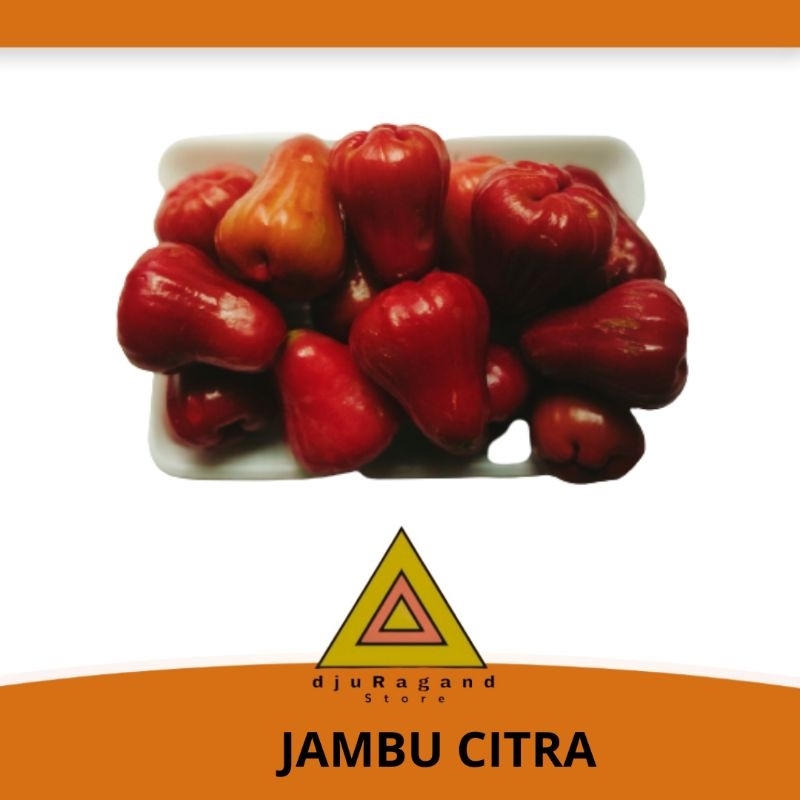 

Jambu citra segar 500 gram