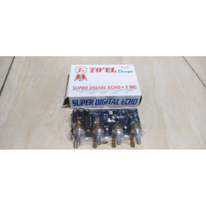 KIT ECHO 2 MIC Super Digital