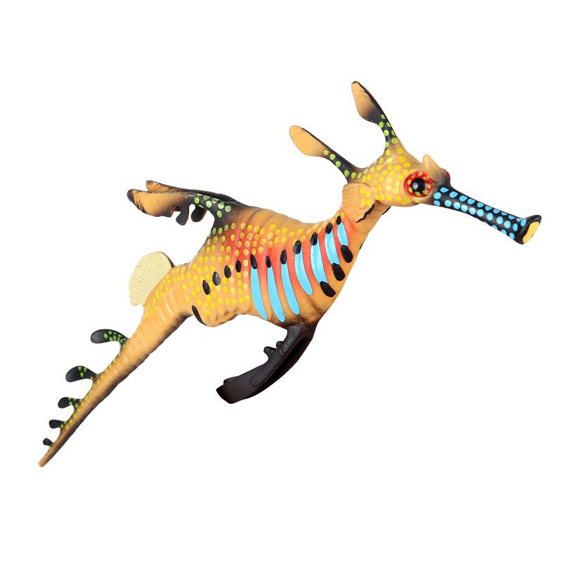 PHYLLOPTERYX TAENIOLATUS Naga Laut Rumput hewan laut kuda laut