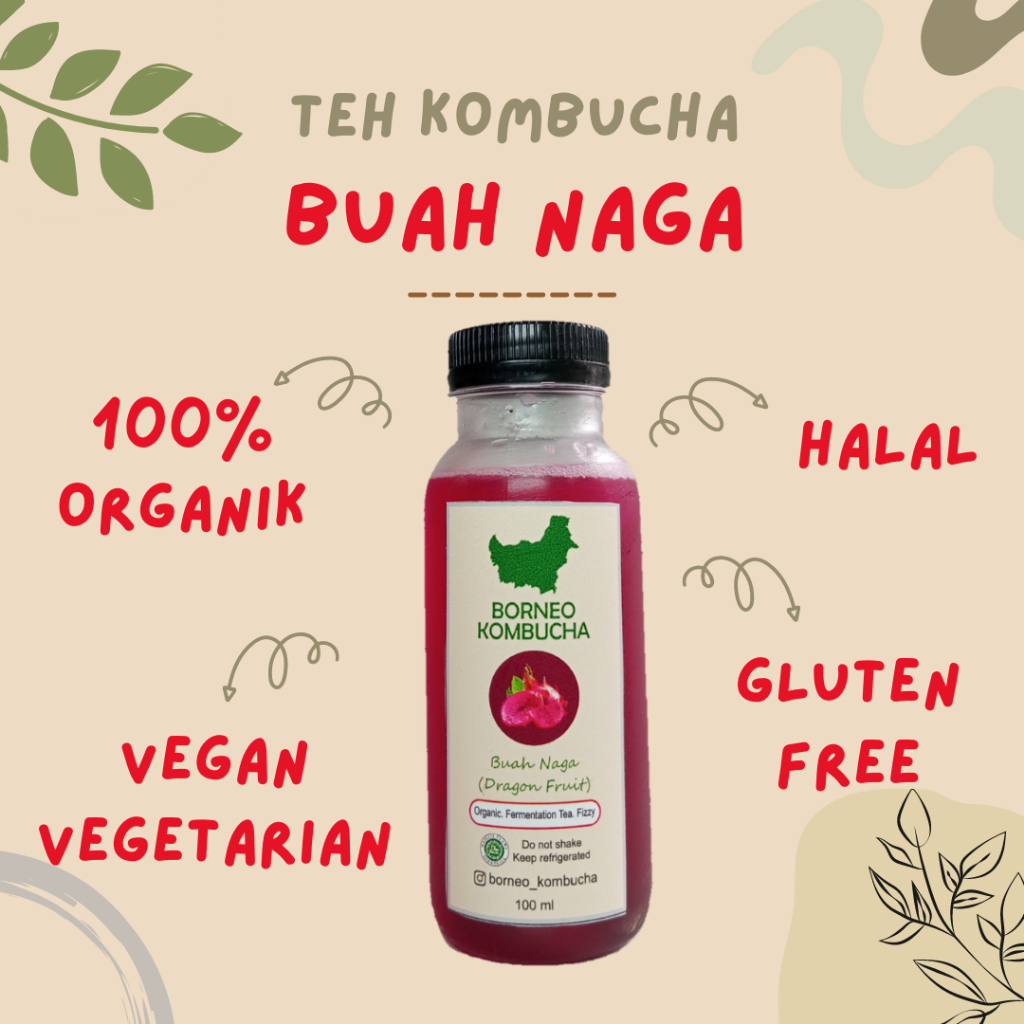 

BORNEO KOMBUCHA BUAH NAGA ORGANIK HALAL 100 mL