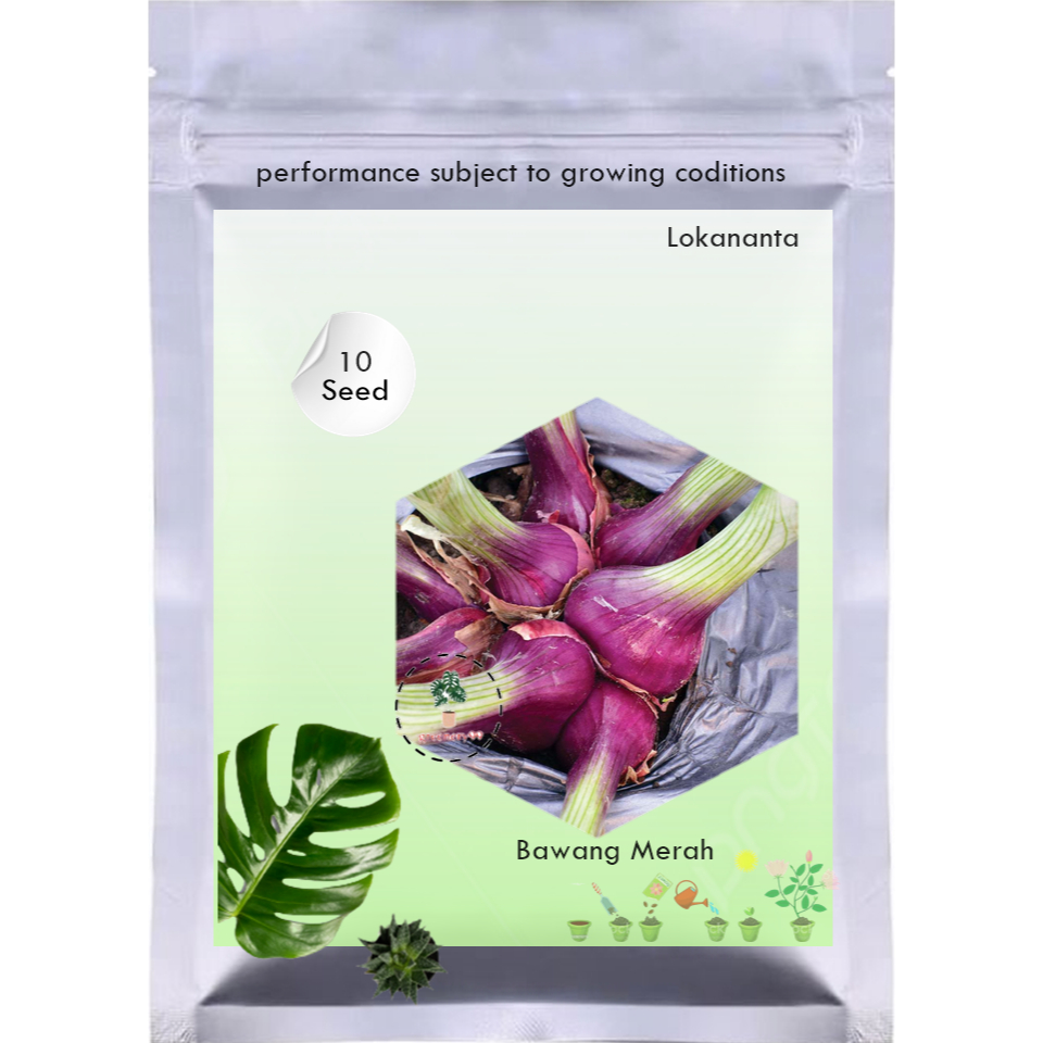 10Benih Bawang Merah Lokananta Cap Panah Merah - Bibit Tanaman Sayur Sayuran Seribuan