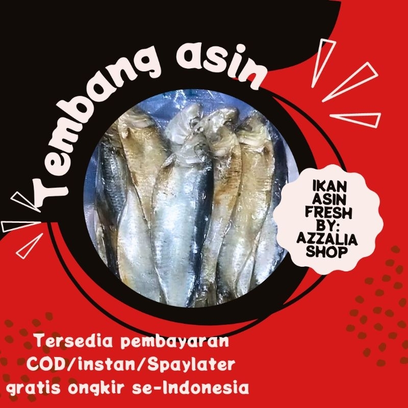 

IKAN TEMBANG ASIN 250 GR ISI BANYAK