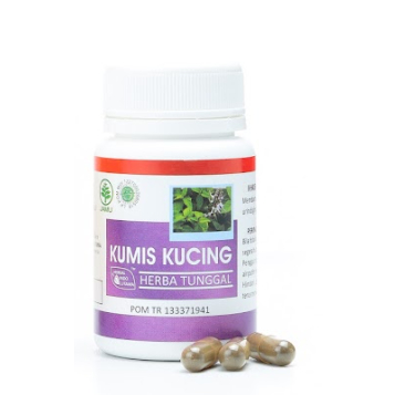 

Kumis Kucing | HERBA INDO UTAMA