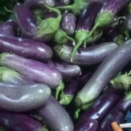 

Terong Ungu 500 gram