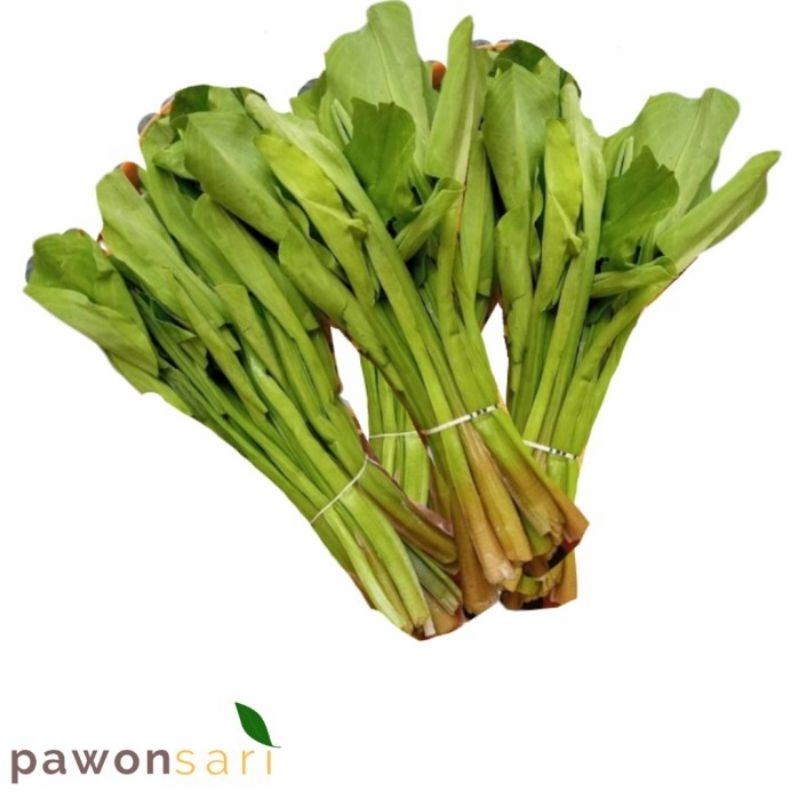 

genjer sawah