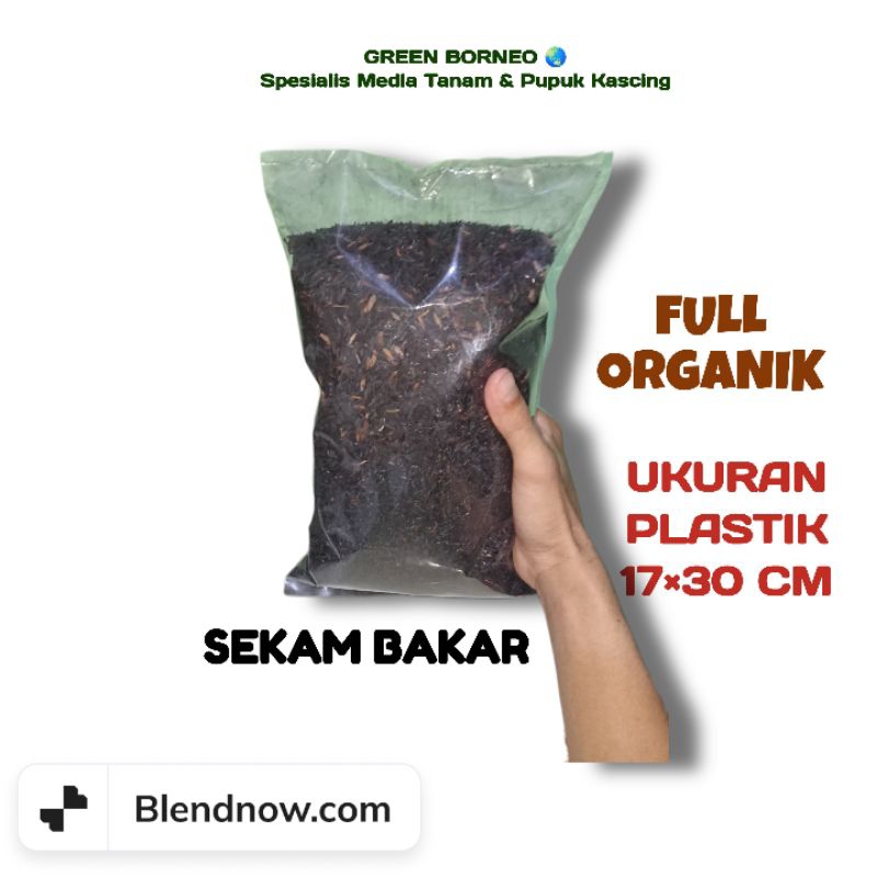 MEDIA TANAM SUBUR SEKAM BAKAR ARANG SEKAM SEKAM PADI KULIT PADI ARANG  SEKAM MEDIA SIAP PAKAI MEDIA 