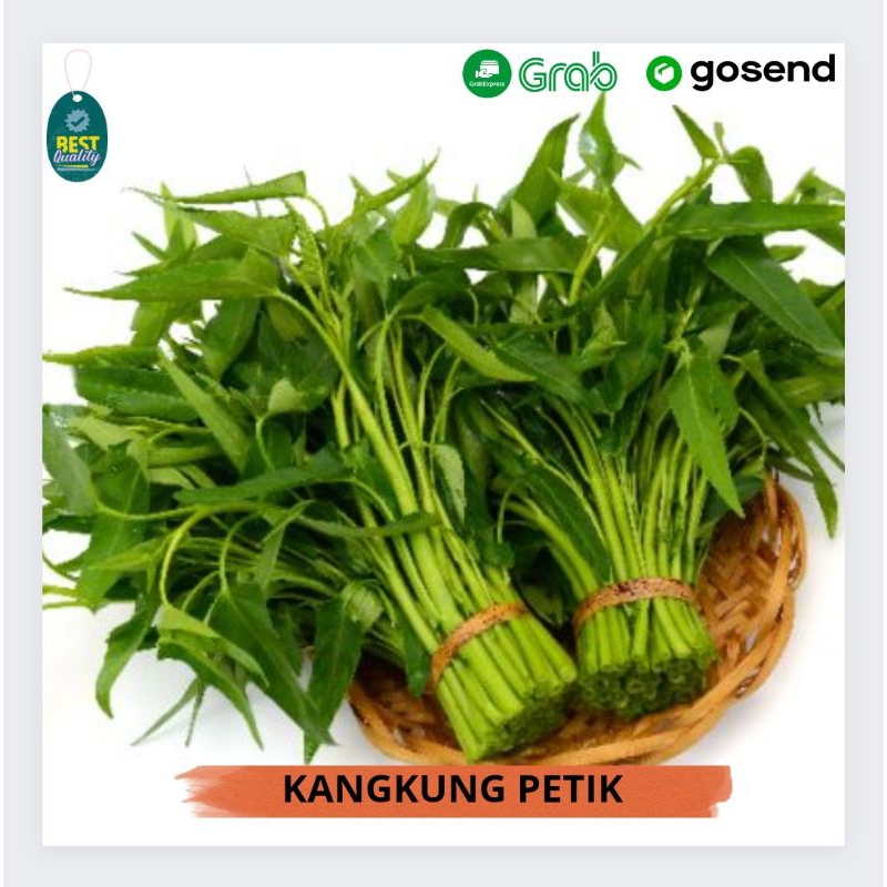 

Kangkung Petik Segar