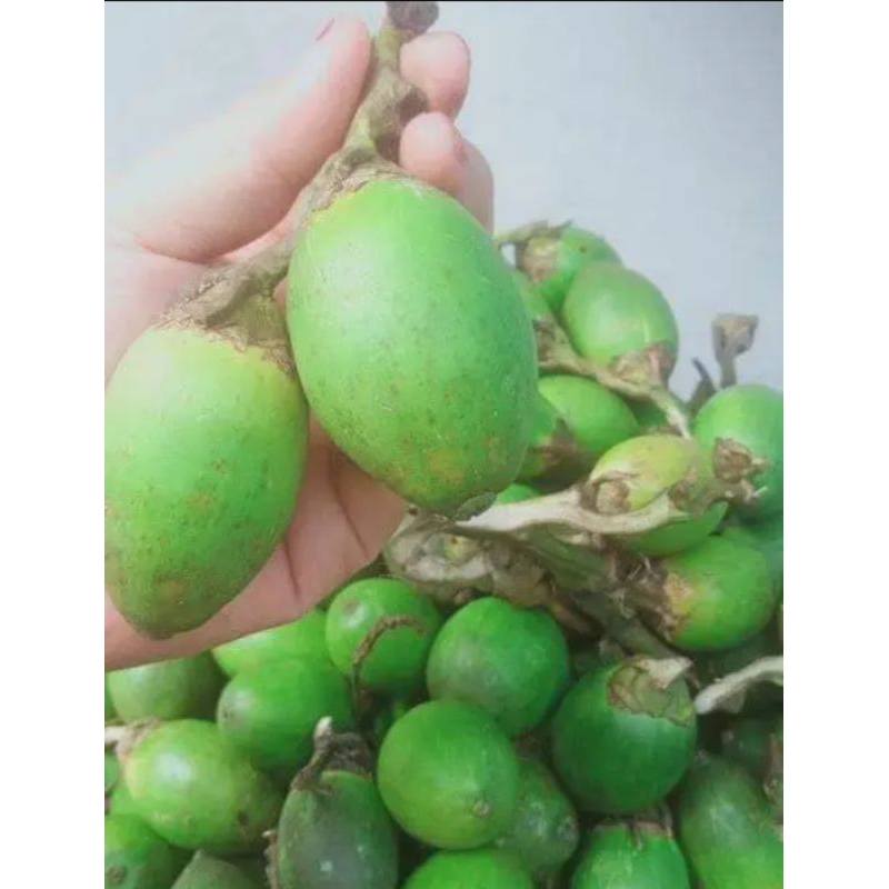 

1kg buah pinang muda penamabh kejantanan