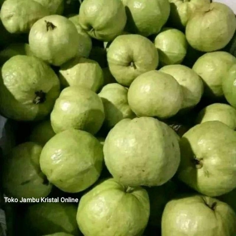 

MURAH Jambu Kristal 3 kg