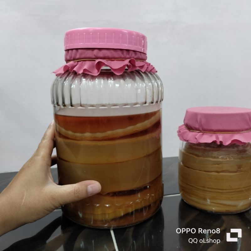 

Scooby untuk Kombucha atau Jamur Dipa