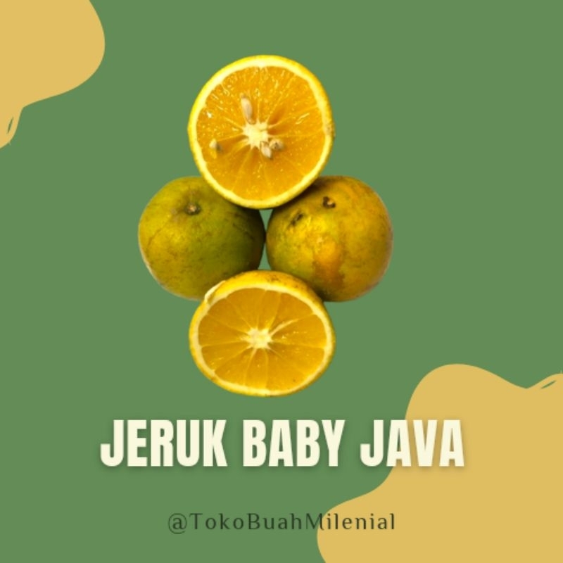 

(1Kg) Jeruk Baby Java Malang Manis Jeruk Peras MPASI Bayi