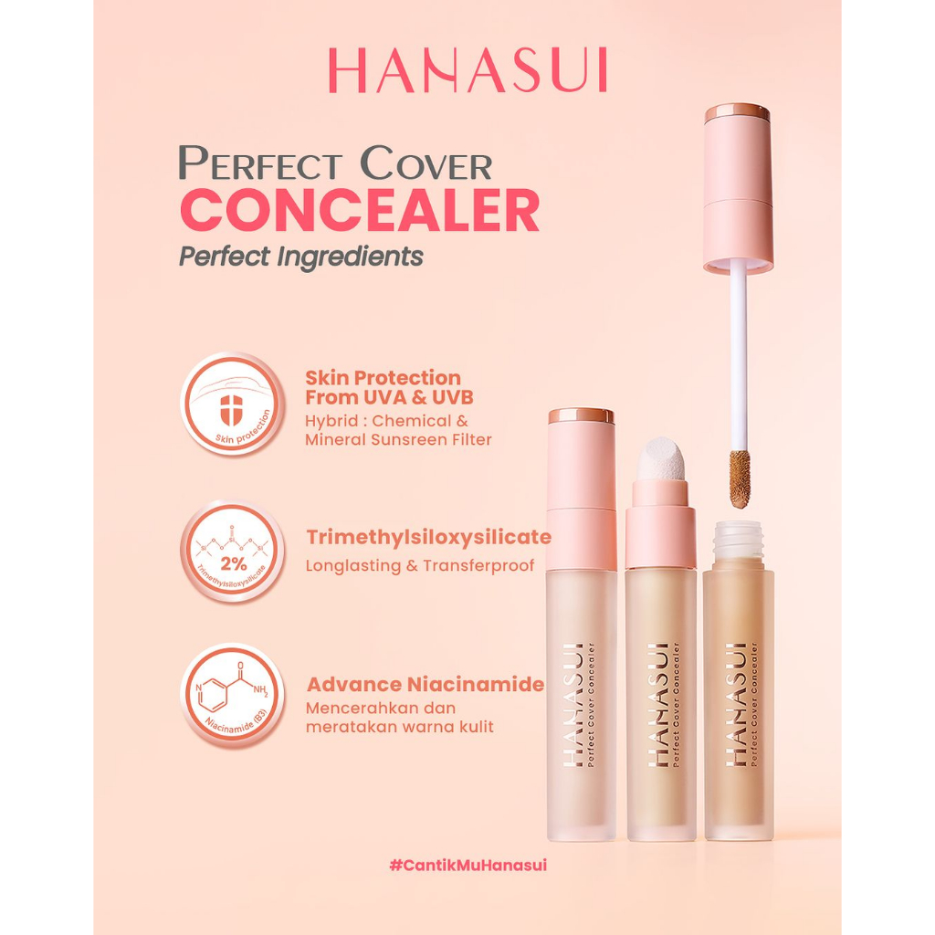 HANASUI Perfect Cover Concealer - 4.5gr