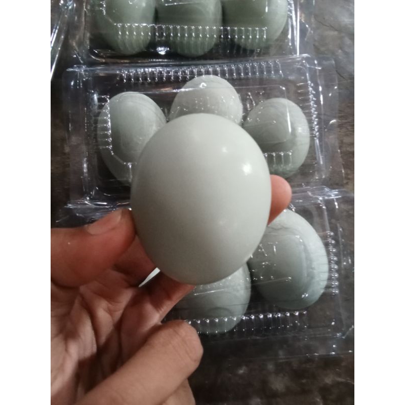 

Telor Asin Asli 3 Butir