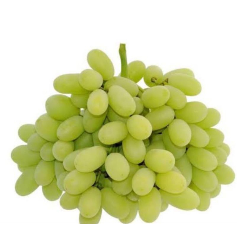 

Anggur Sugar Crispy Green Australia 18mm++