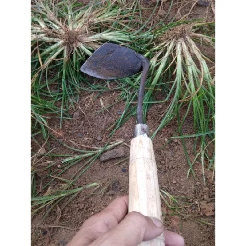 wangkil baja/ghatul baja/wangkil pemotong rumput