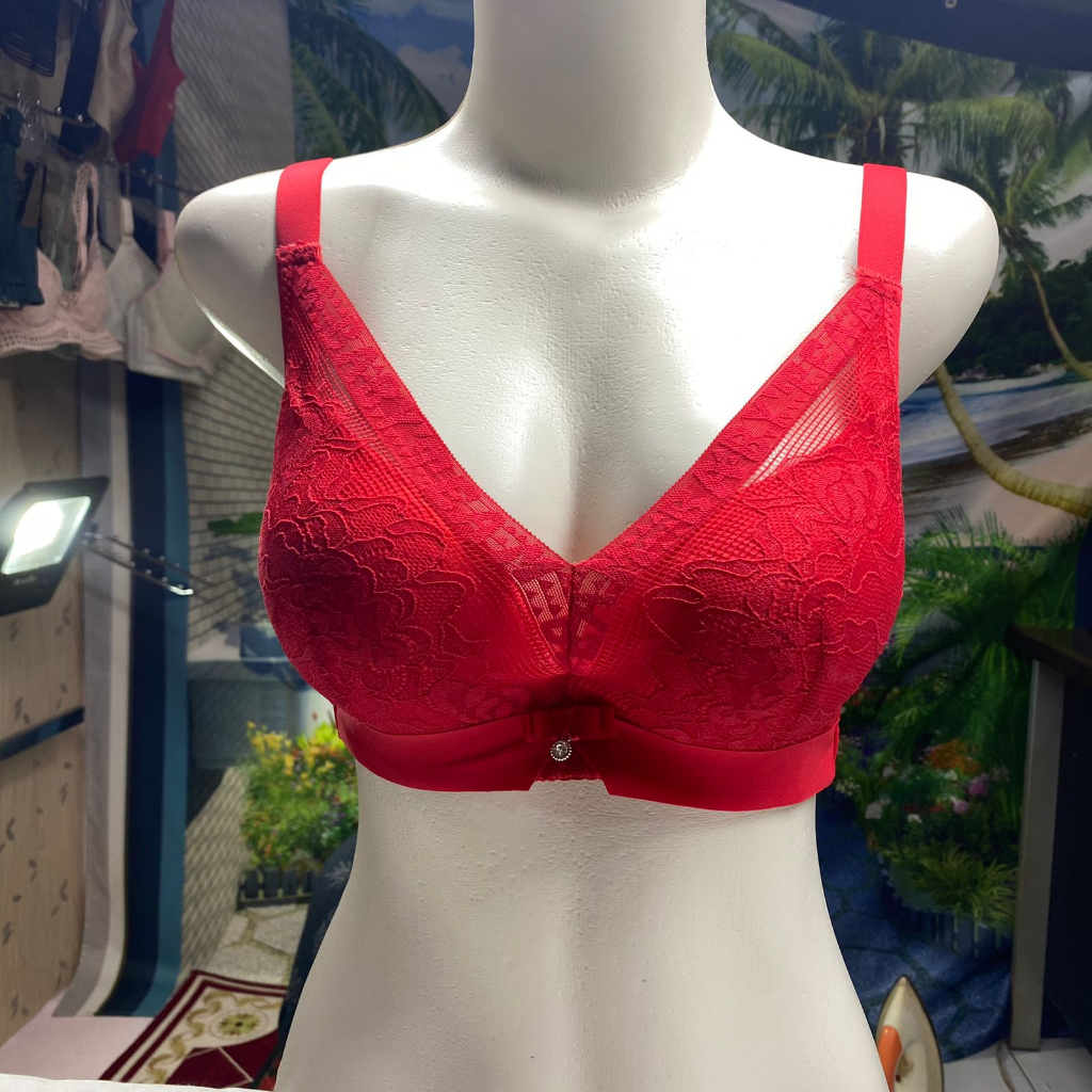 BRA / BH WANITA 2088 ADA KAWAT BUSA TEBAL SIZE 34-40