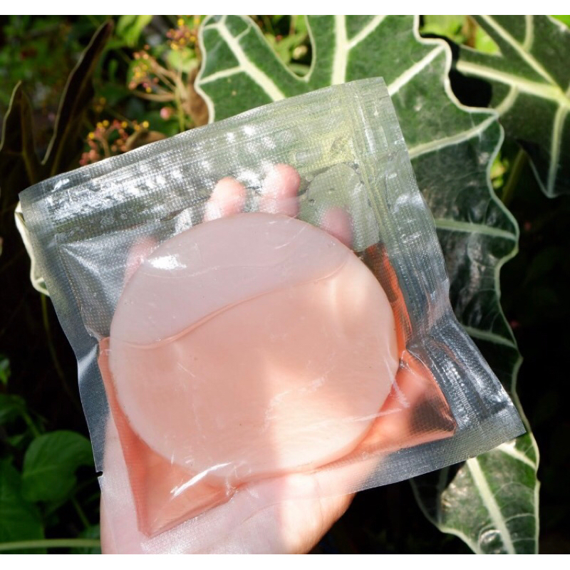 

Bibit Scoby Kombucha Jamur Dipo 10 cm