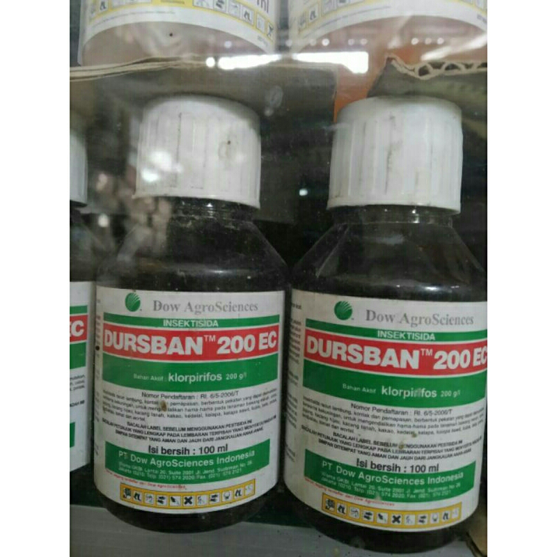 obat pertanian insektisida DURSBAN 100ml