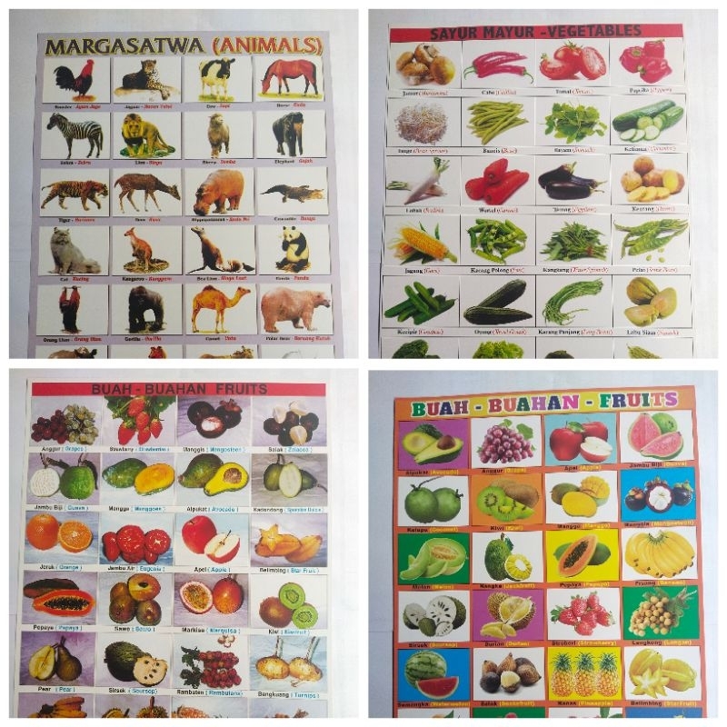 Poster Buah Buahan & Sayuran/ Gambaran.