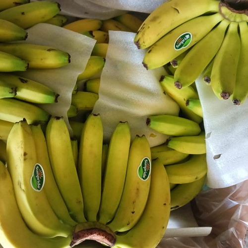 

pisang cavendish / sunpride 1sisir