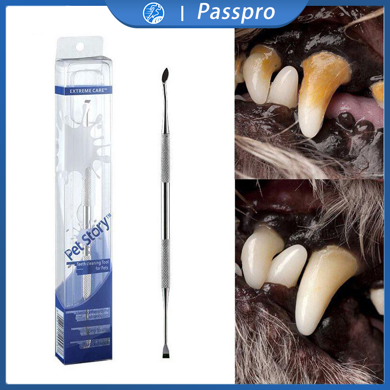 Alat Pembersih Karang Gigi Hewan Anjing Kucing Stainless