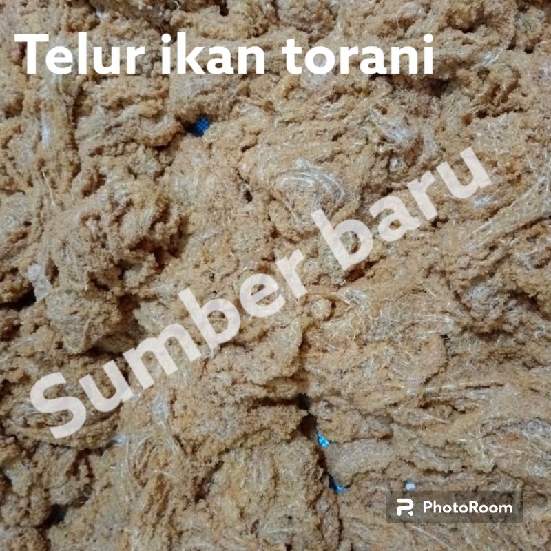 

Telur ikan terbang tuing tuing torani asli sulawesi selatan 1 kg
