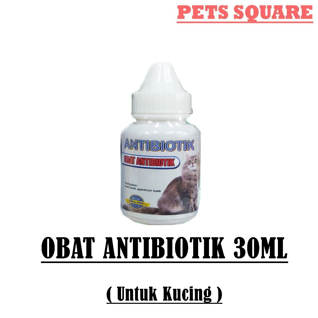 Obat Antibiotik untuk Kucing demam,radang,lemas tidak nafsu makan dll