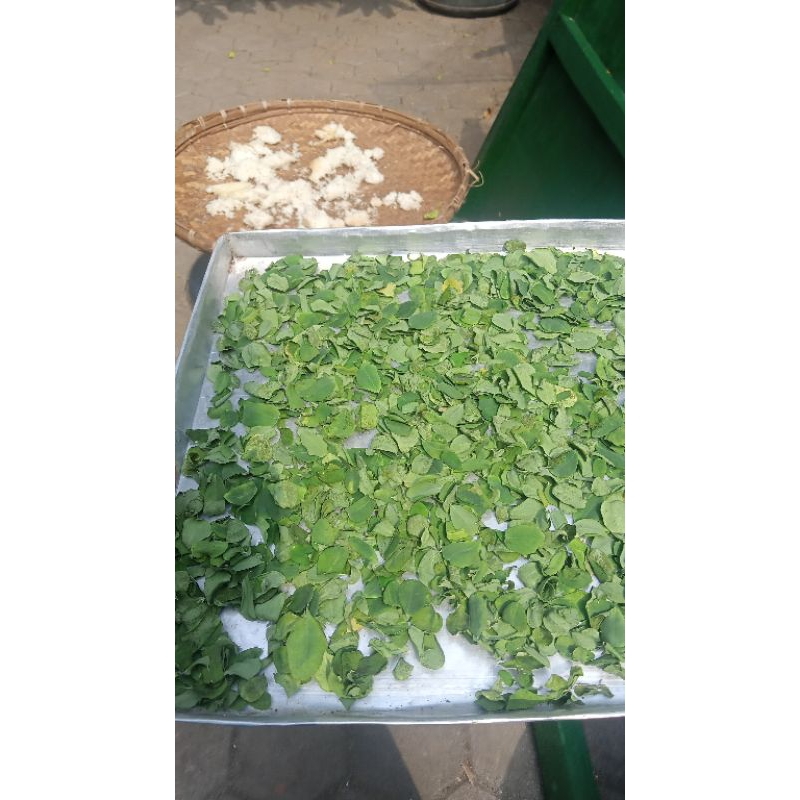 

moringa leaf/ daun kelor kering super food