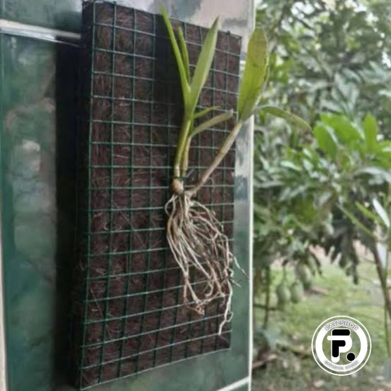 Ijuk Aren Untuk Media Tanam Ijuk Aren Super Untuk Media Tanam