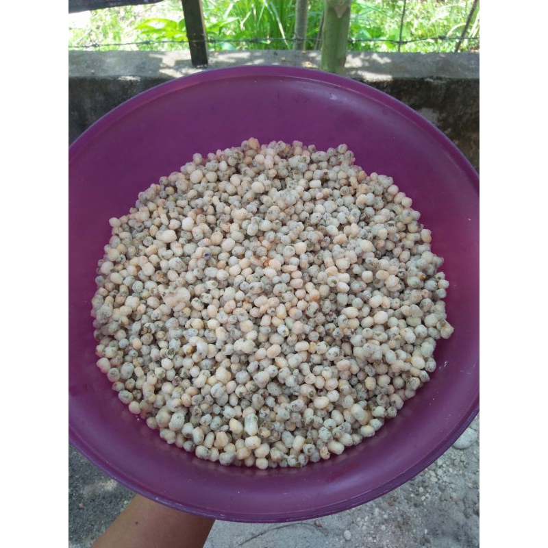 

kacang hijau goreng