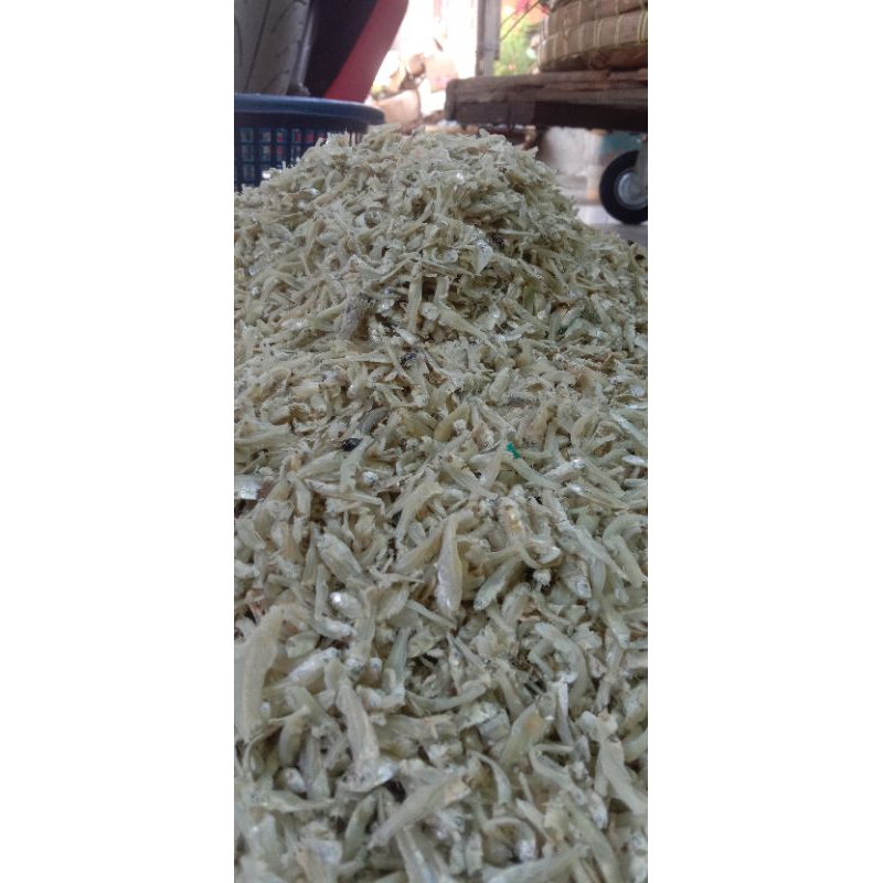 

Teri Nasi Medan