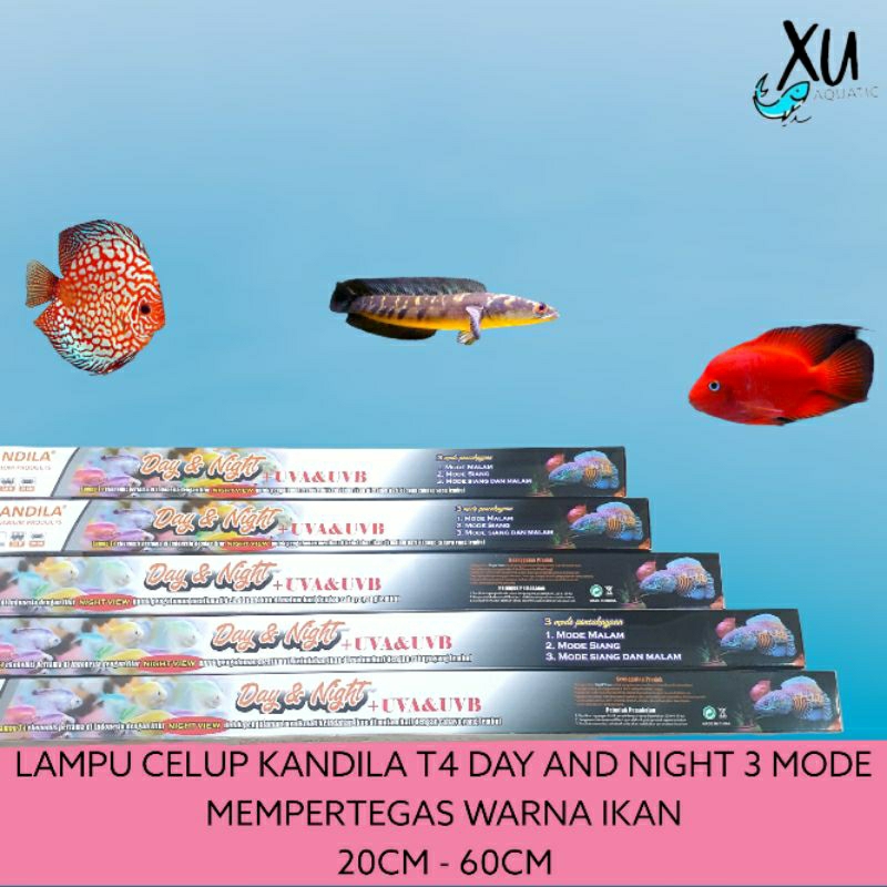 LAMPU LED CELIP T4 EKONOMIS KANDILA 3 MODE KANDILA DAY &amp; NIGHT VIEW N-20 N-30 N-40 N-50 N-60