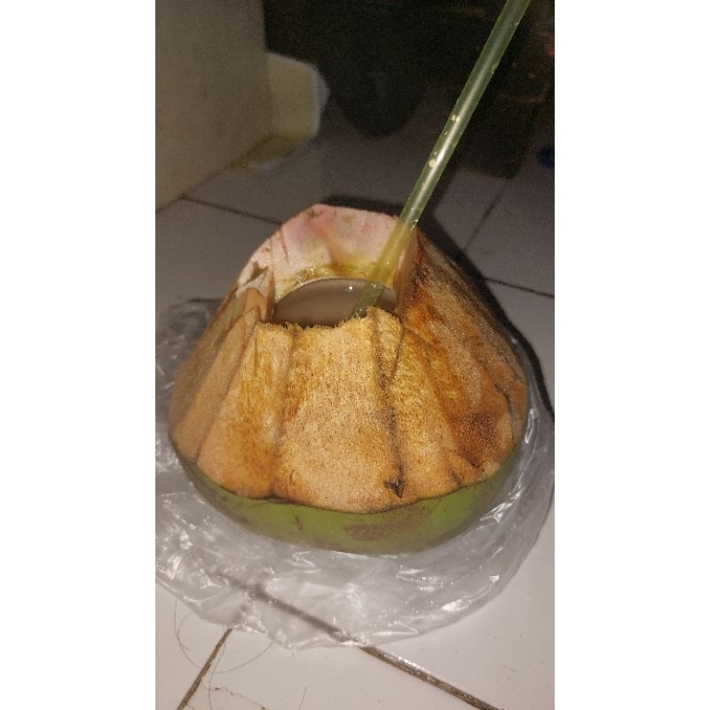

Kelapa Muda