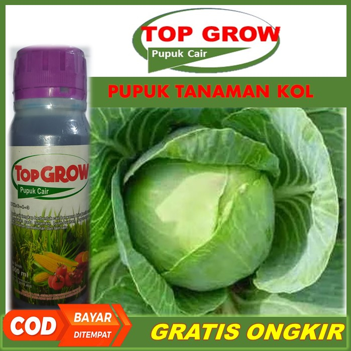 TOP GROW Pelebat Buah Kol Terbaik Tahan di Musim Hujan - Pupuk NPK Cair Pelebat Kol, Pupuk Organik P