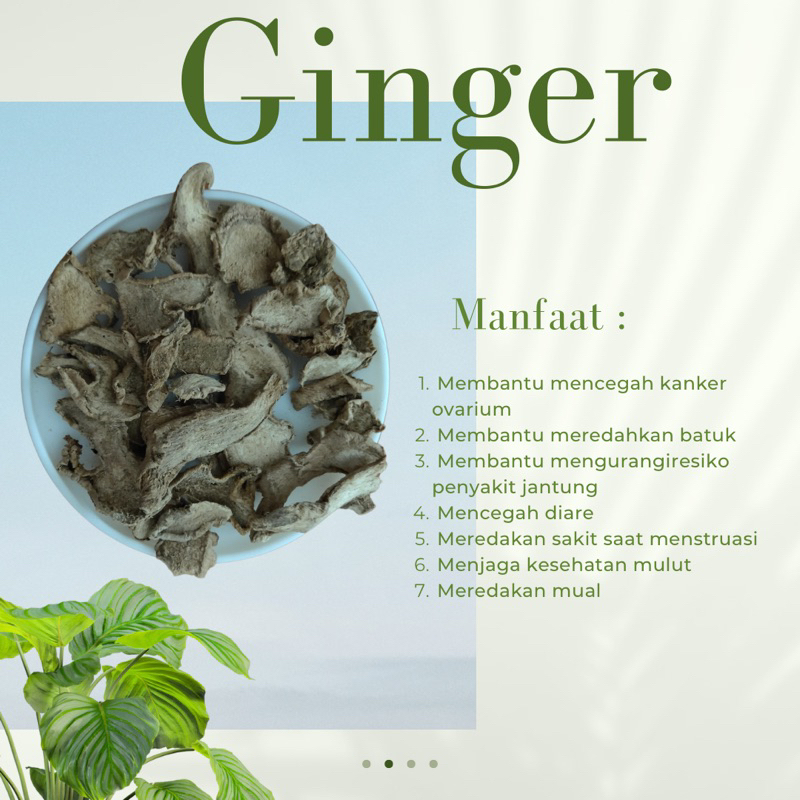 

Jahe Ginger Kering
