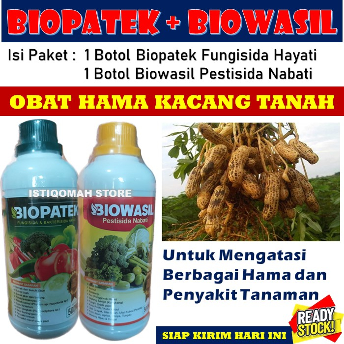 100% AMPUH Obat Semprot Berbagai Macam Hama dan Penyakit Pada Tanaman Kacang Tanah Paling Manjur BIOPATEK + BIOWASIL Fungisida dan Pestisida Alami, Obat Penyakit Hama Kacang Tanah Terbaik BAGUS MUJARAB LARIS MURAH