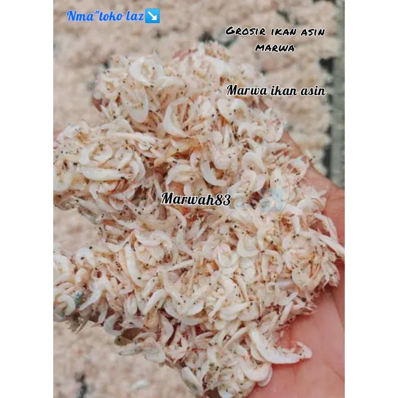 

ikan asin udang rebon ikan asin rebon alus kualitas super harga murah