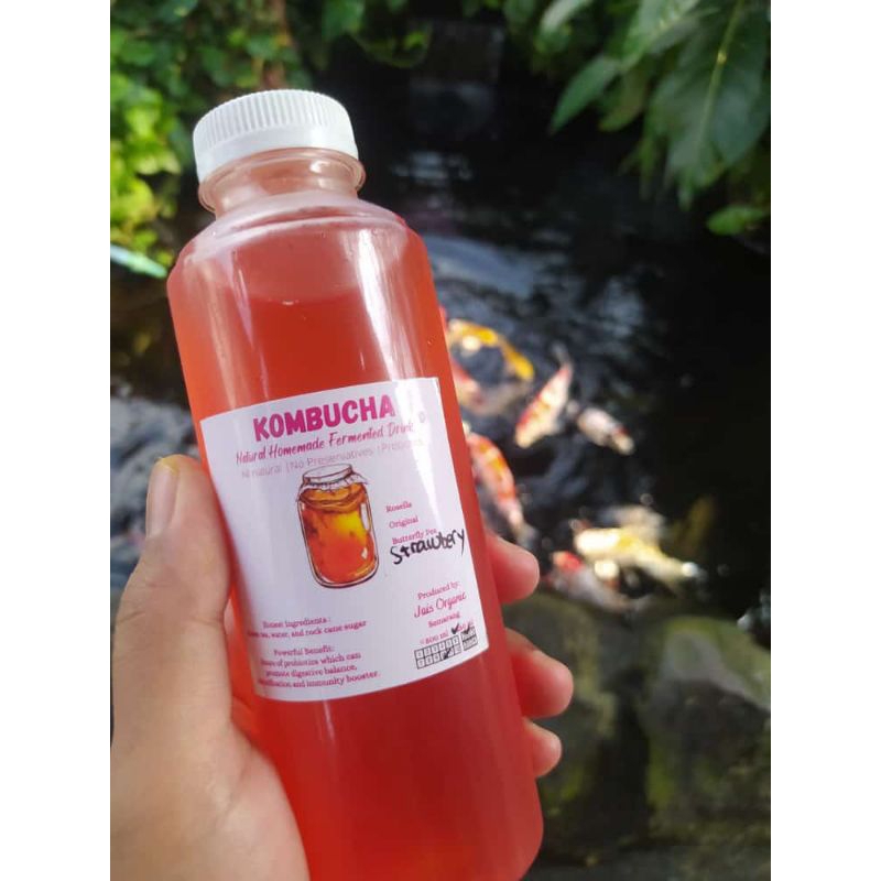 KOMBUCHA STRAWBERRY MINT 250 ml minuman probiotik fermentasi