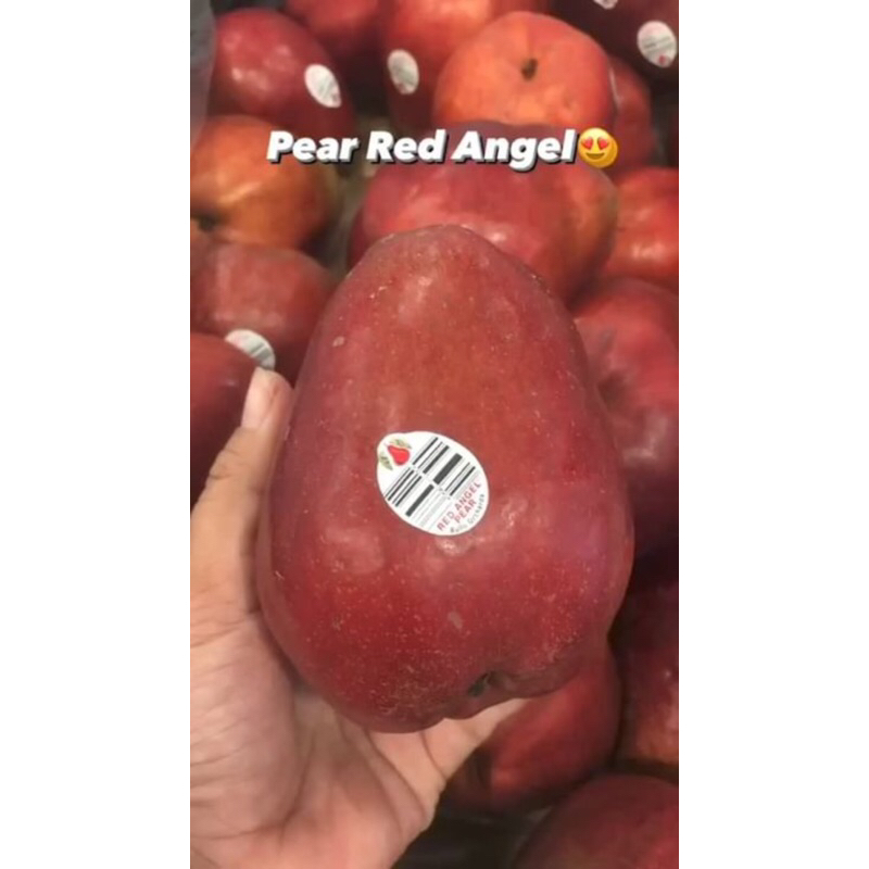 

Pear Red Angel